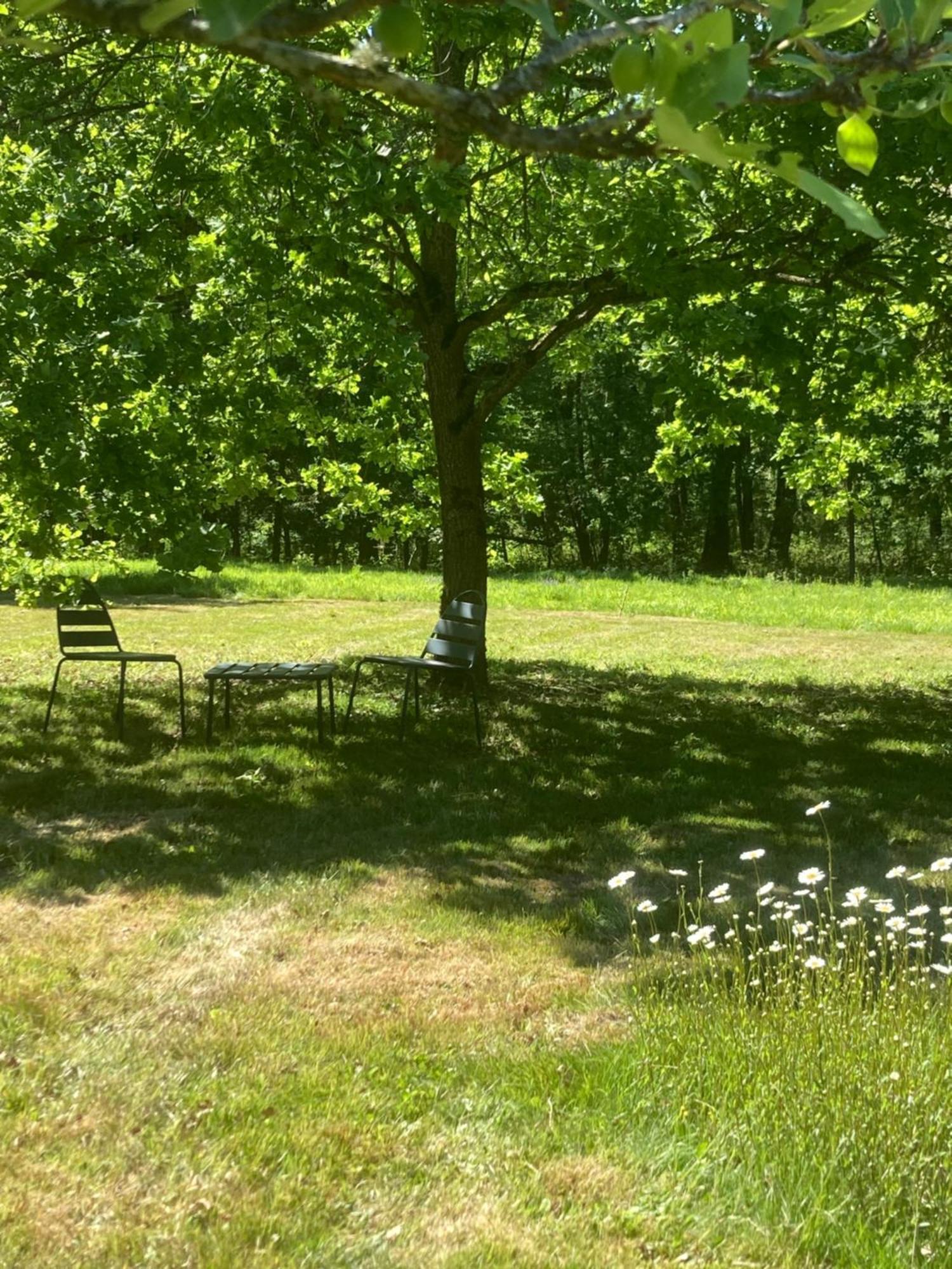 Les Bois De Ravel Chambres D'Hotes Exteriér fotografie