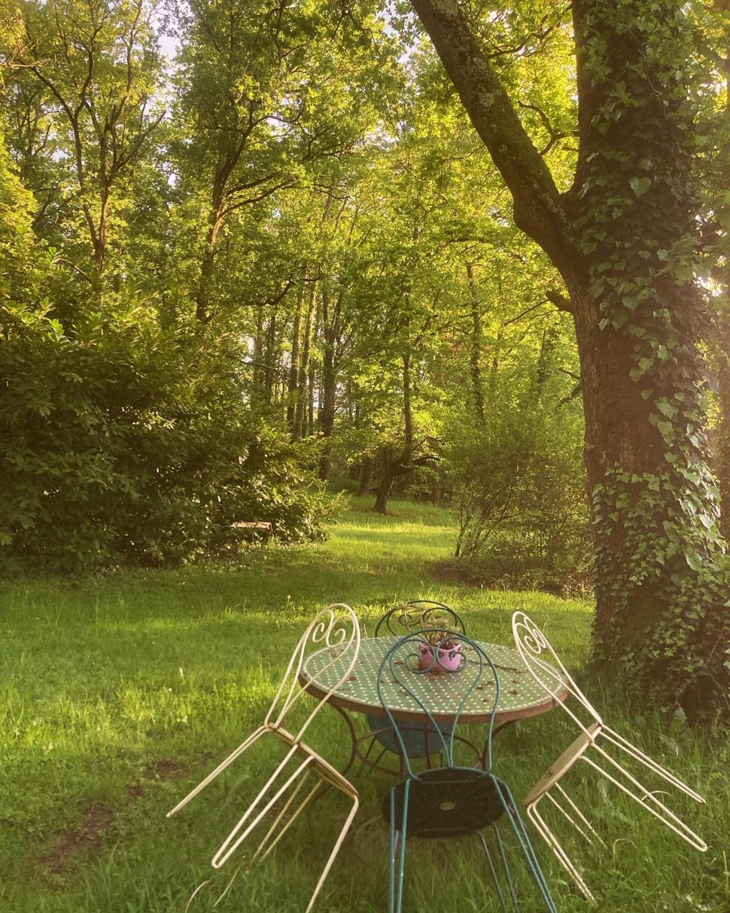 Les Bois De Ravel Chambres D'Hotes Exteriér fotografie
